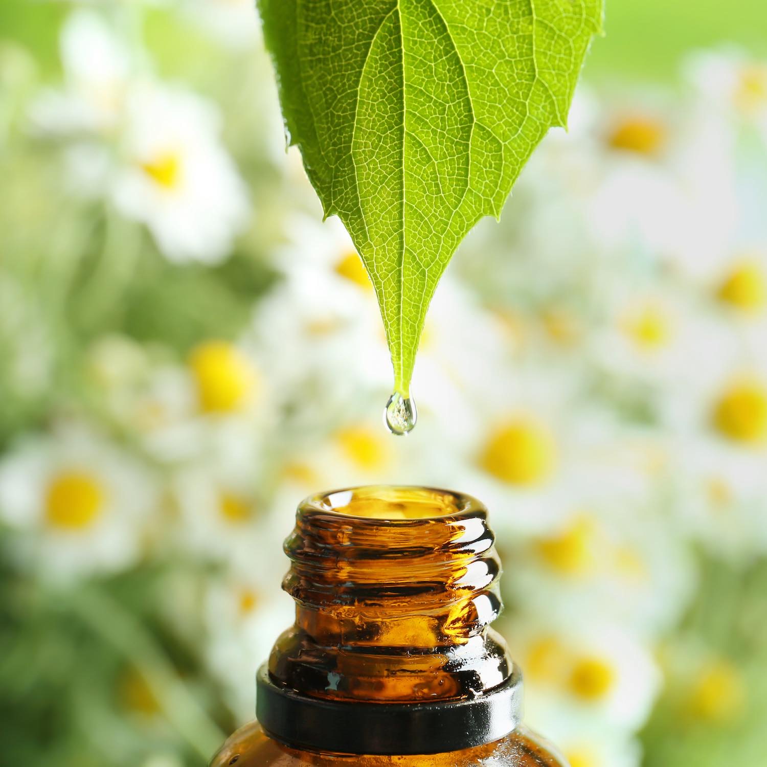 Aromathérapie à Limoges